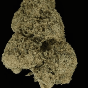 TopshelfCBD Special - GLAZED GUAVE (Guava flowers X Guava CBD Pollen) SALE!
